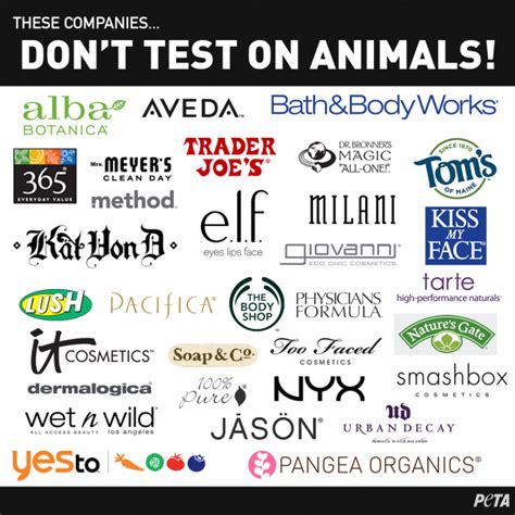 is ysl makeup cruelty free|brands that support animal testing.